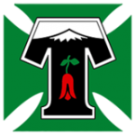 TemucoLogo