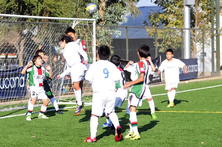 futbol infantil araucana palestino