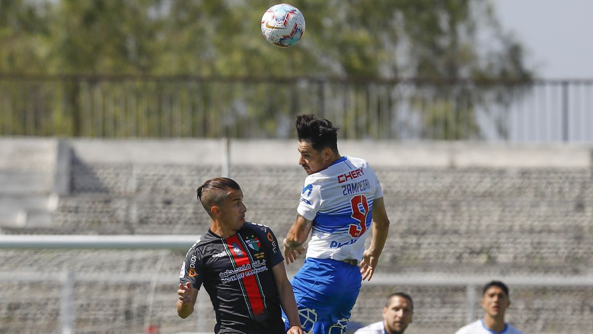 ZAMPEDRI FARIAS PALESTINO U CATOLICA