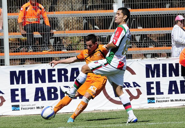 Palestino Cobreloa1