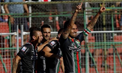 palestino audax