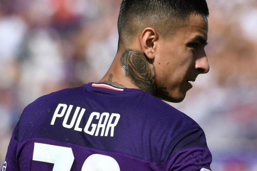 erick pulgar fiorentina