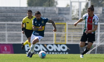 palestino everton