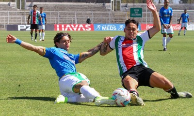 palestino audax italiano