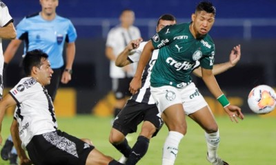 palmeiras libertad