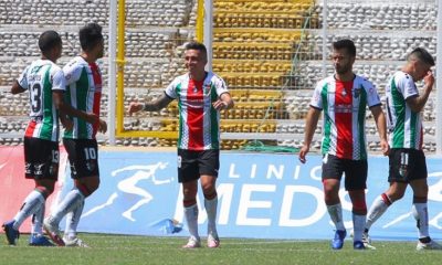 palestino