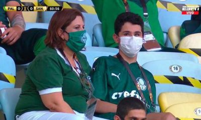 palmeiras