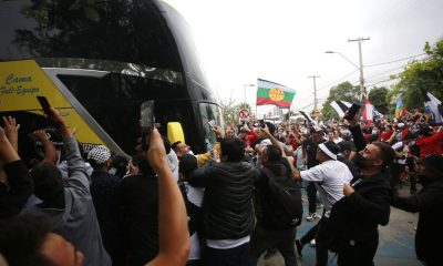 bus colo colo