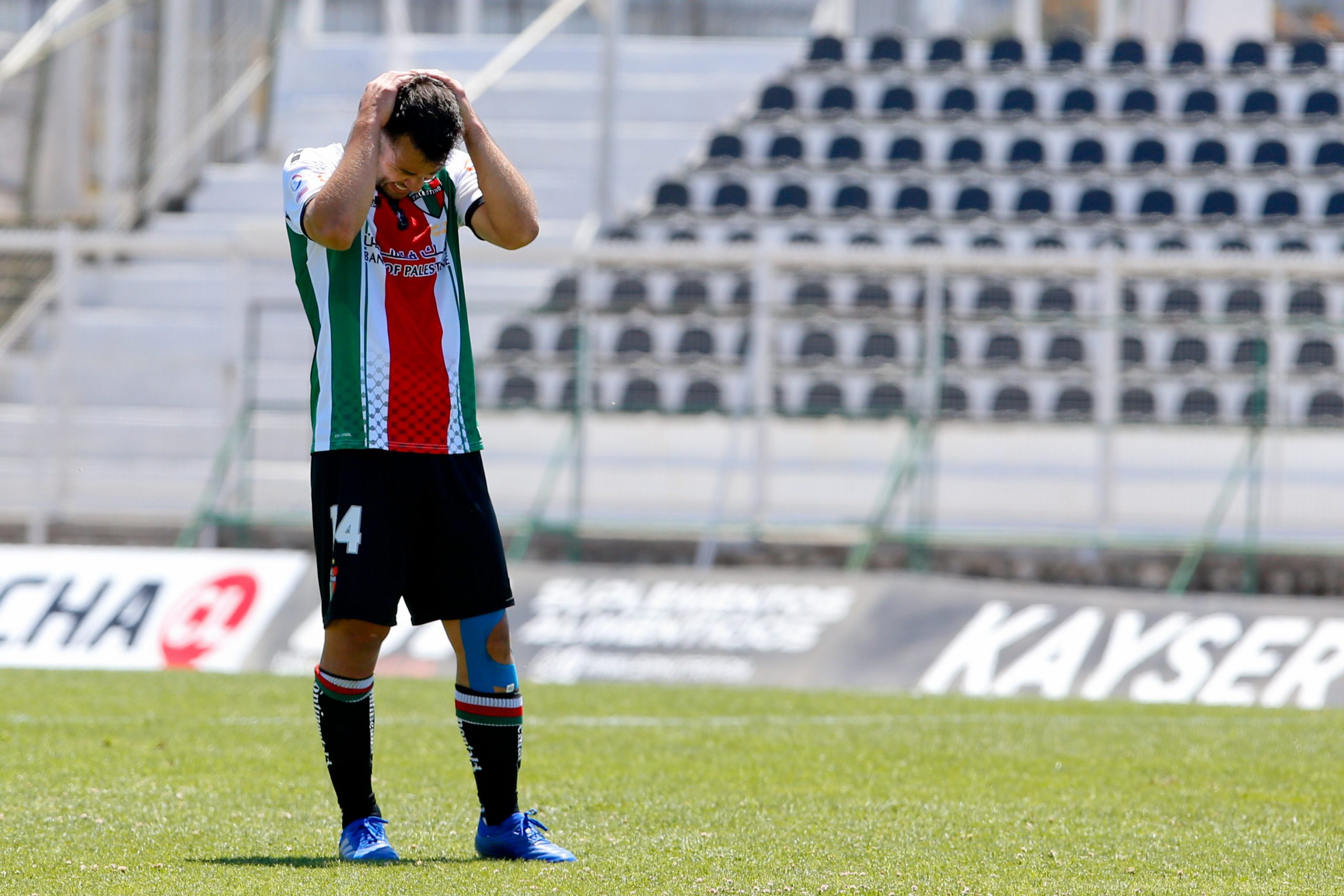 Acusan que esposa del dueño de Palestino provoca millonaria multa al club por insultos racistas 4 palestino 1 scaled