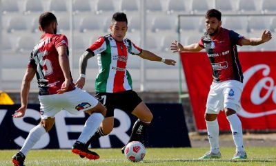 Antofagasta le ganó a Palestino a domicilio.