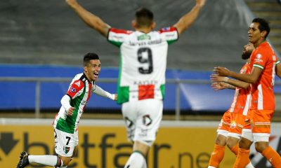 palestino cobresal gol