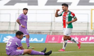 palestino jimenez concepcion