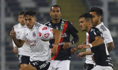 colo colo palestino solari cortes