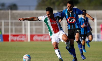 palestino jimenez huachipato