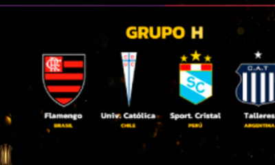 u catolica copa libertadores