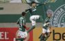 palmeiras gol