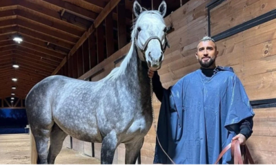 arturo vidal caballo