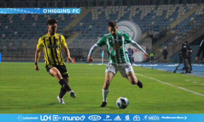 ohiggins fernandez vial