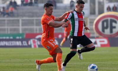 palestino cobreloa