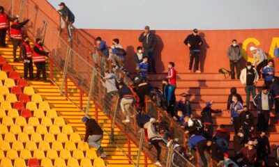 udechile