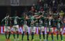 palmeiras