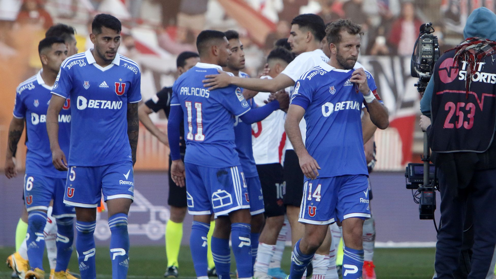 udechile