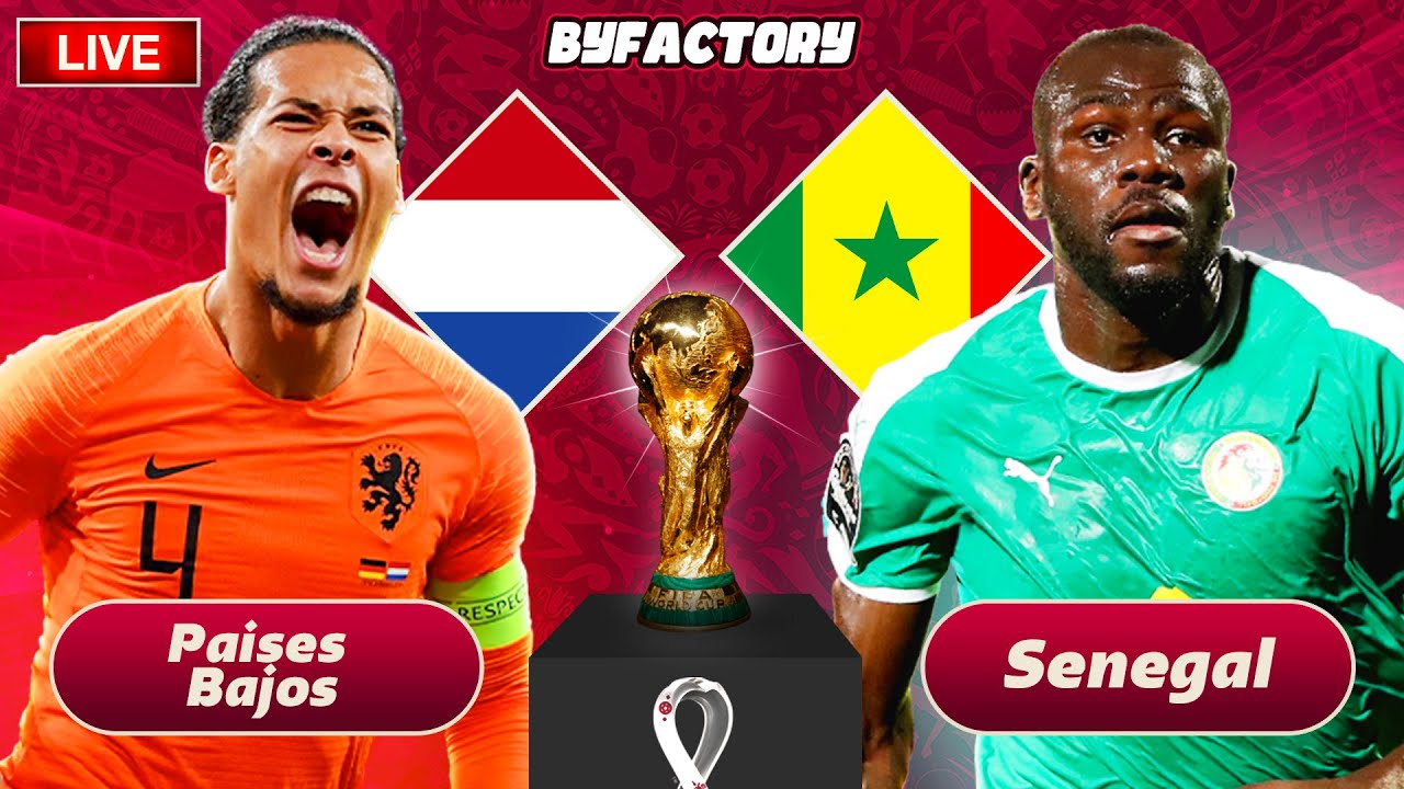 Video Resumen Países Bajos 2 - Senegal 0