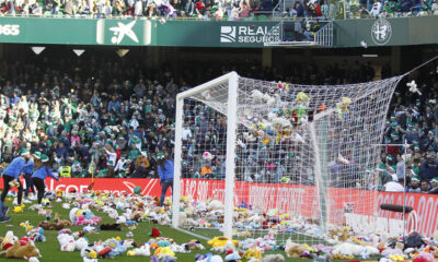 Lluvia peluches betis