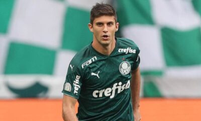 palmeiras