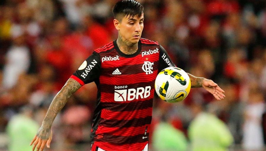 pulgar flamengo