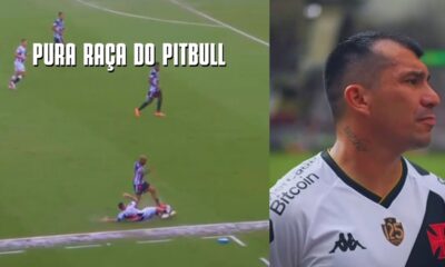 medel e um leao em campo gary me