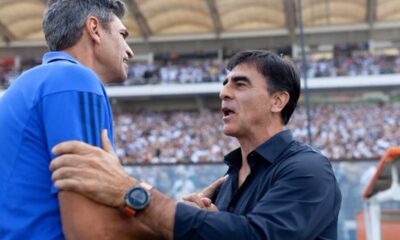 entrenadores pellegrino quinteros