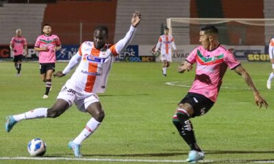cobresal palestino waterman