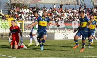 gol everton sacha saez palestino