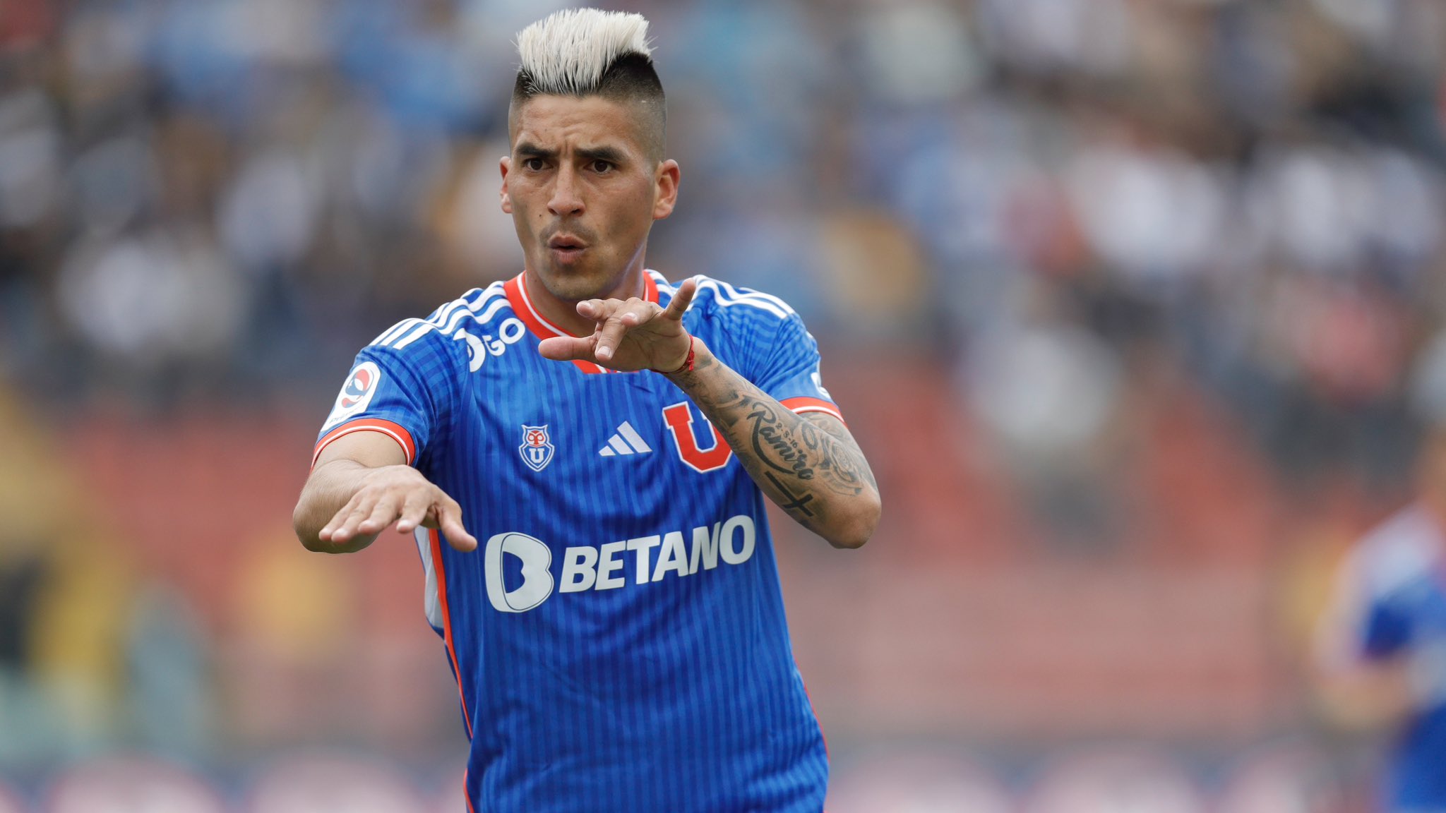 leandro fernandez universidad de chile