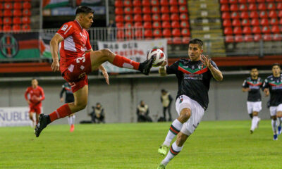 nublense palestino