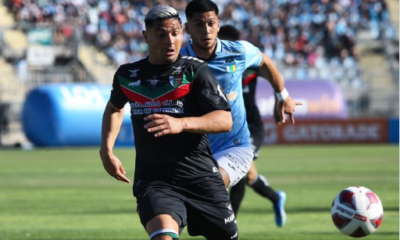 maxi salas palestino