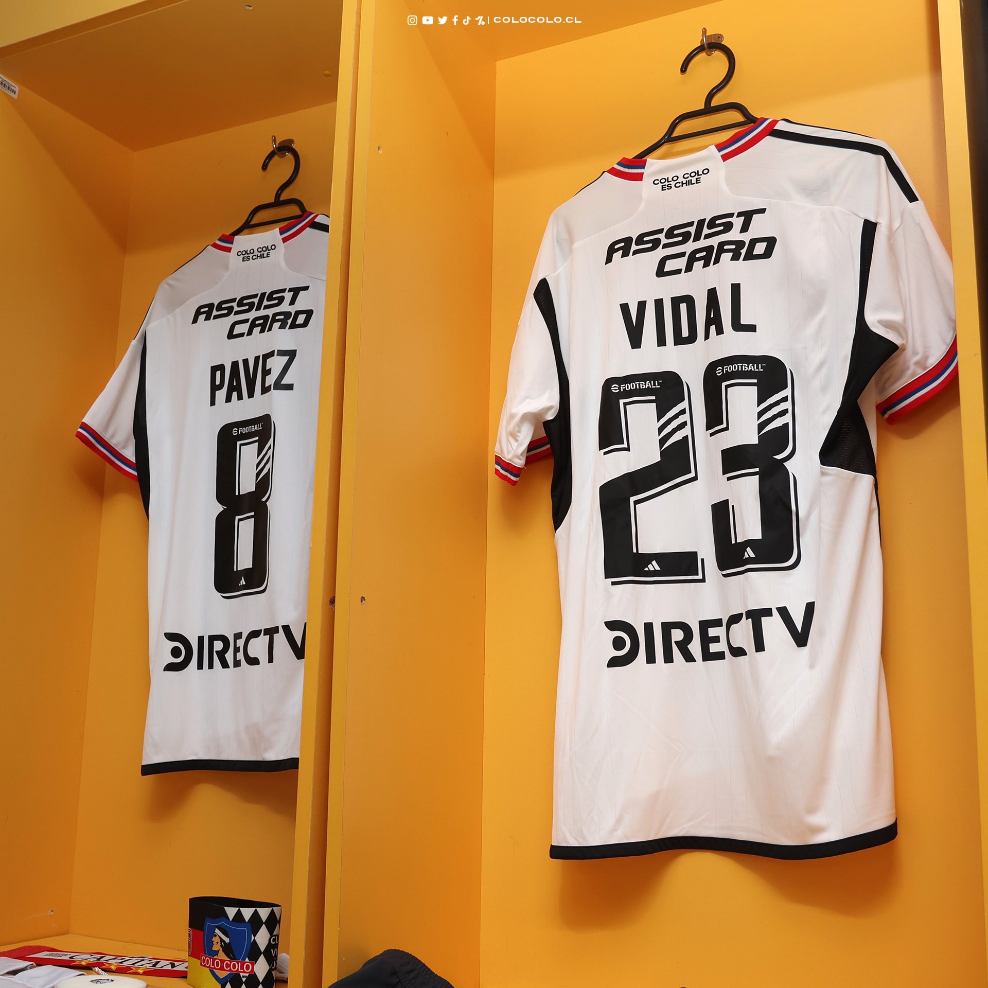 COLO colo vidal