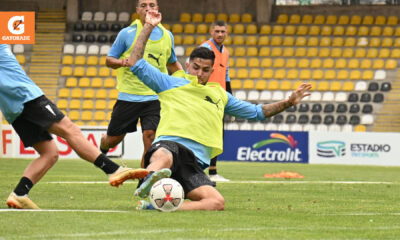 entrenamiento u catolica