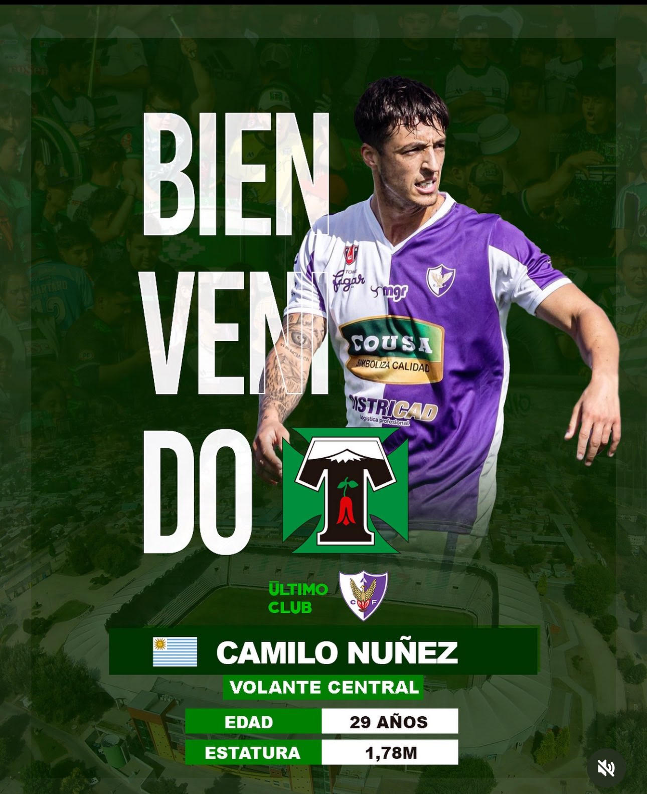 temuco nuñez camilo 1