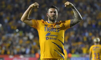 tigres