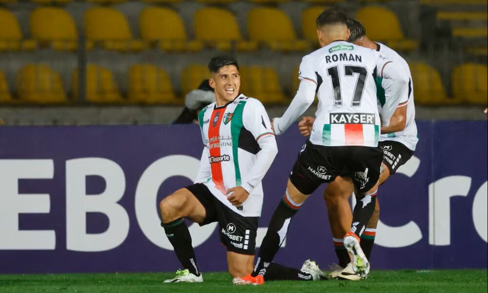 cornejo palestino