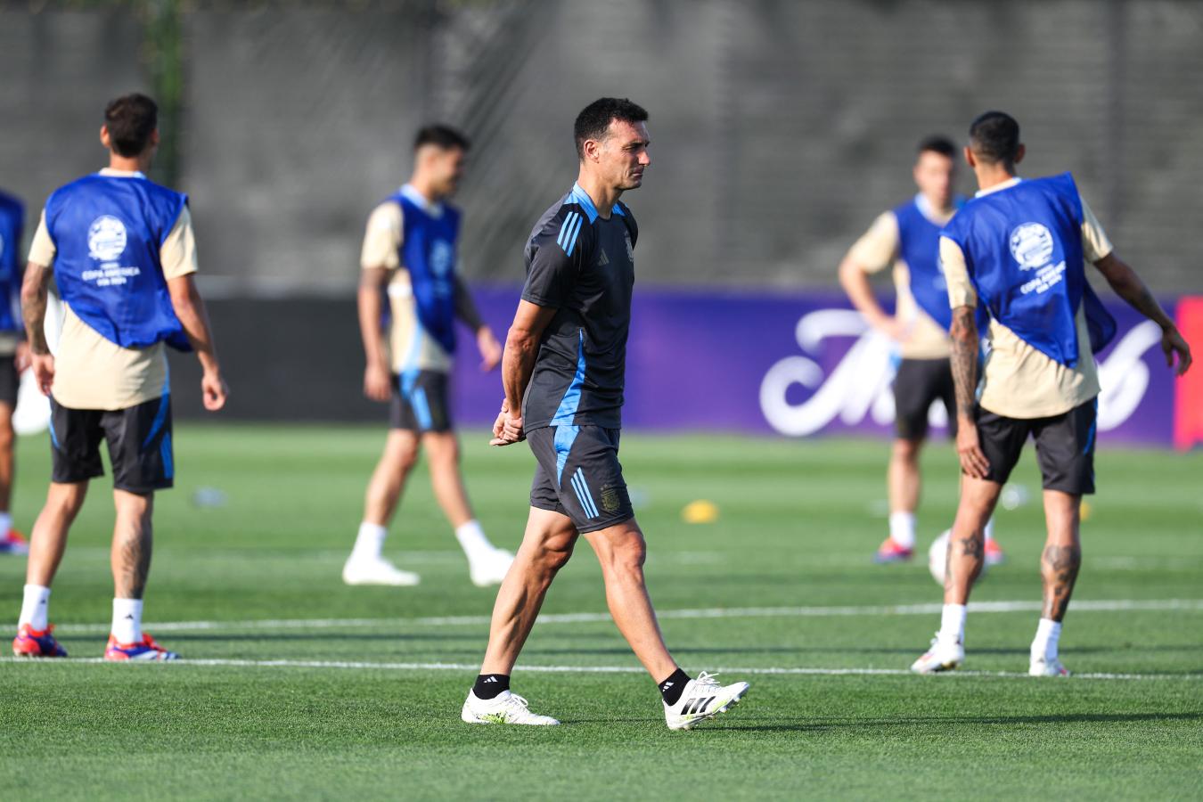 scaloni