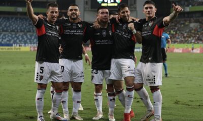 palestino