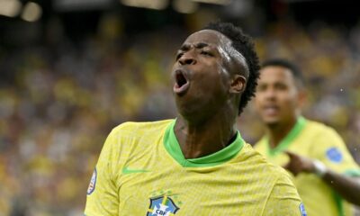 vini