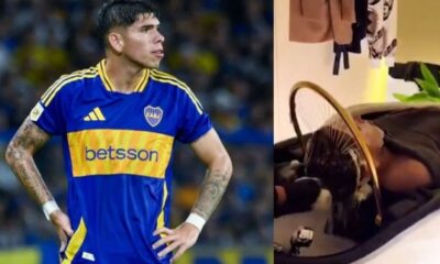 palacios