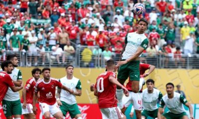 palmeiras