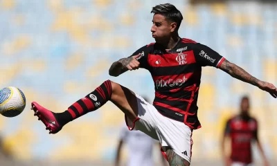 pulgar flamengo