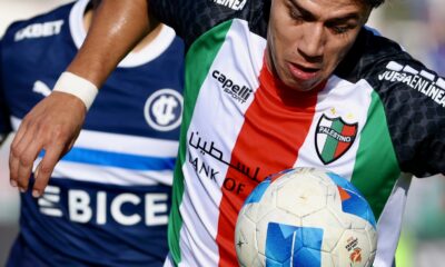 universidad catolica palestino