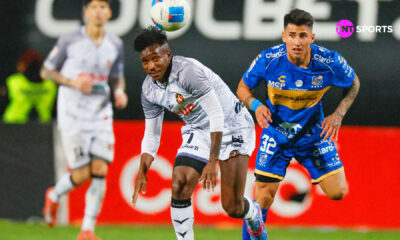 zapata limache everton